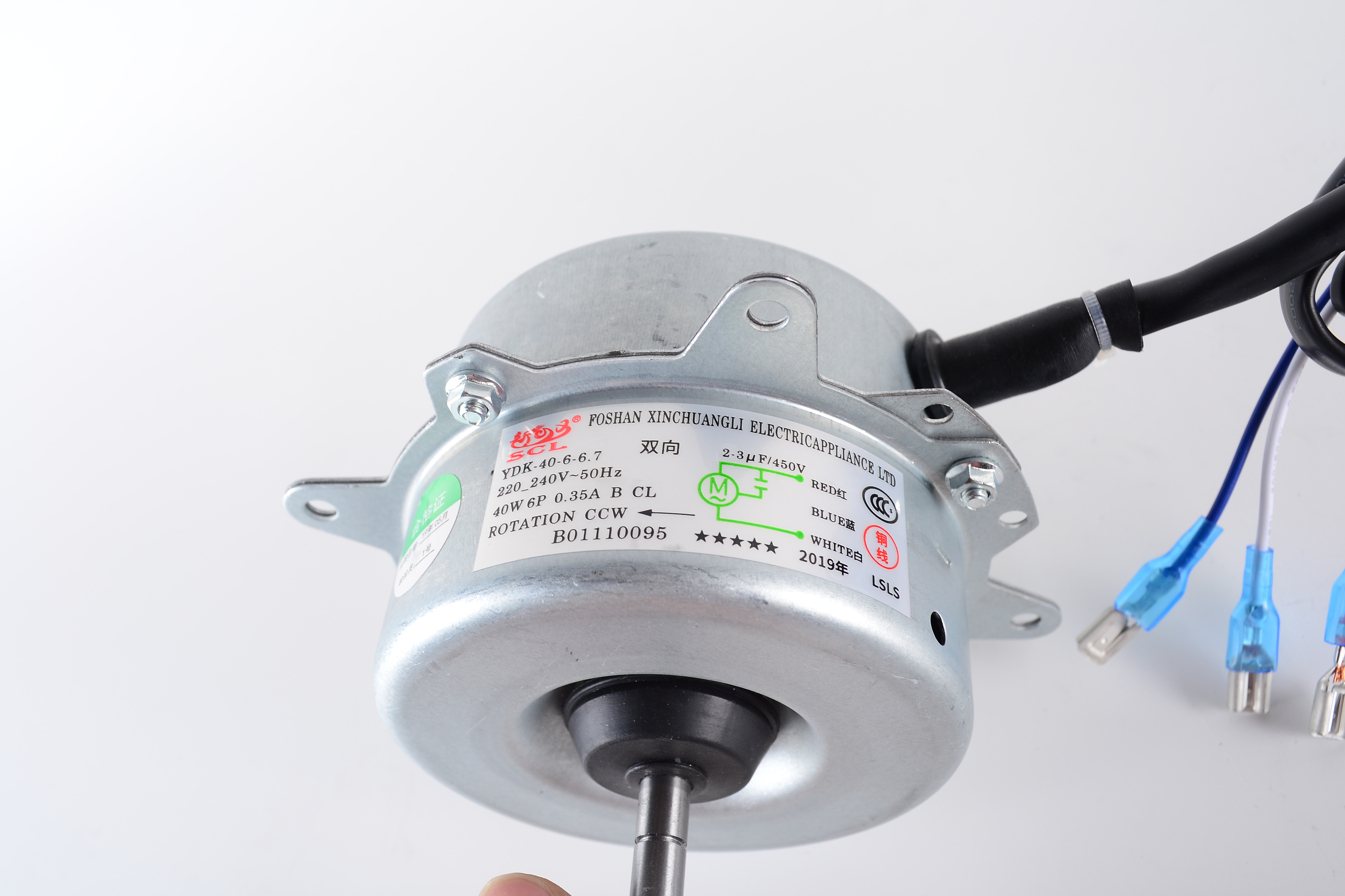 Motor - B01110095